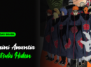 Anuncios(3)