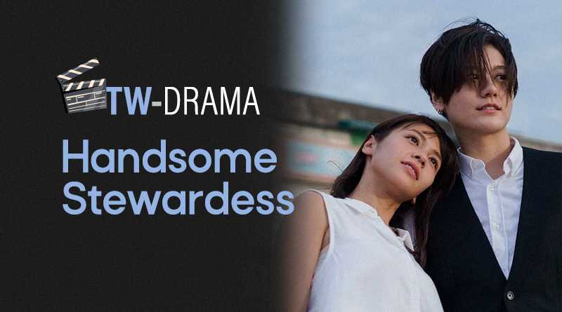 Handsome Stewardess - Site