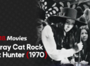 Stray Cat Rock - Site