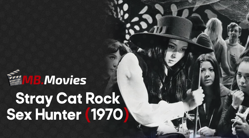 Stray Cat Rock - Site