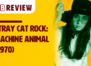 Stray Cat Rock Machine Animal - Site