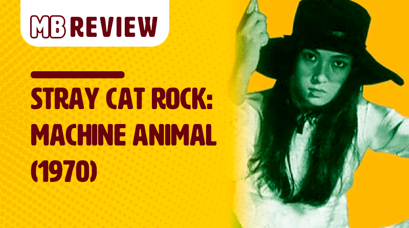 Stray Cat Rock Machine Animal - Site